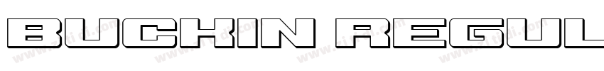 Buckin Regular Demo字体转换